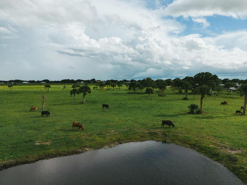  Commercial & Industrial Land Images 