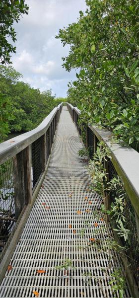 Duplex, Triplex and Fourplex Images