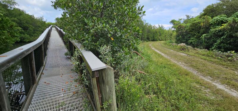 Duplex, Triplex and Fourplex Images