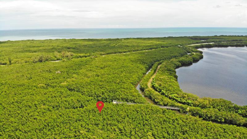 Duplex, Triplex and Fourplex Images