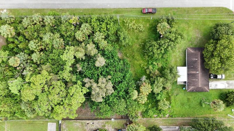 Duplex, Triplex and Fourplex Images