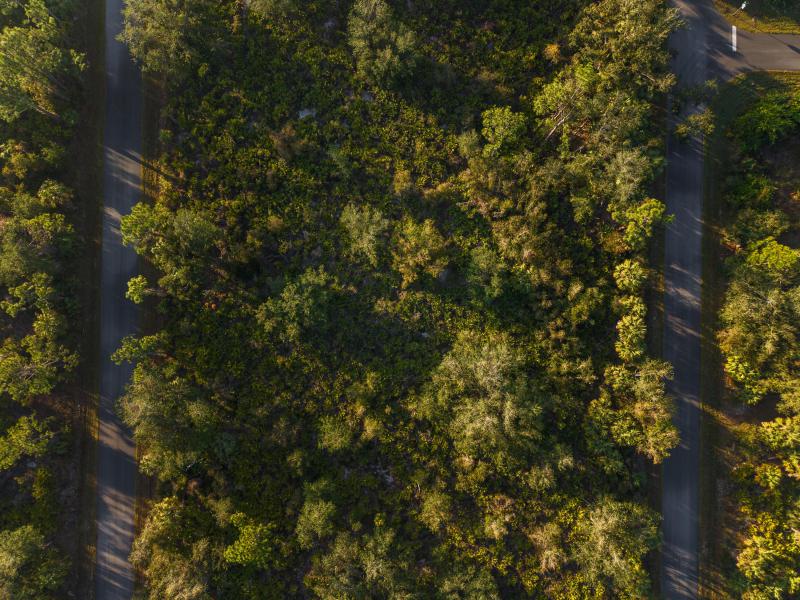 Duplex, Triplex and Fourplex Images