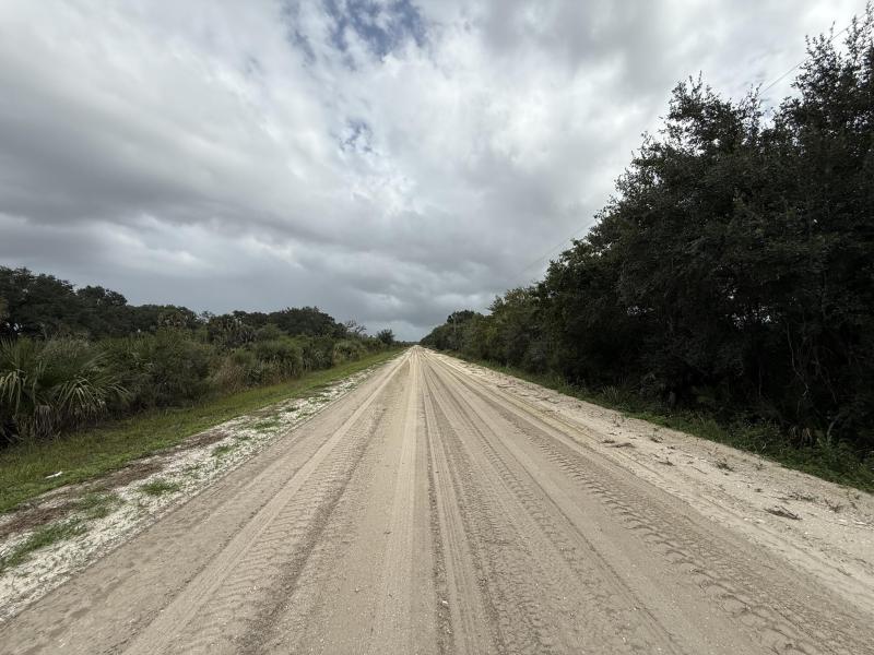 Duplex, Triplex and Fourplex Images