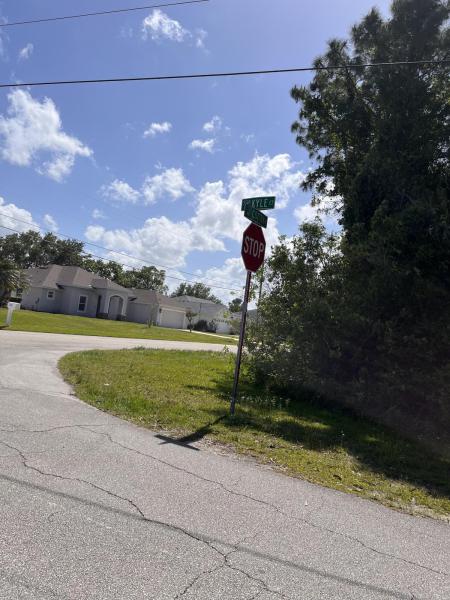 Duplex, Triplex and Fourplex Images