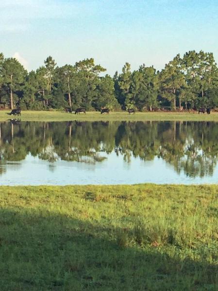  Commercial & Industrial Land Images 