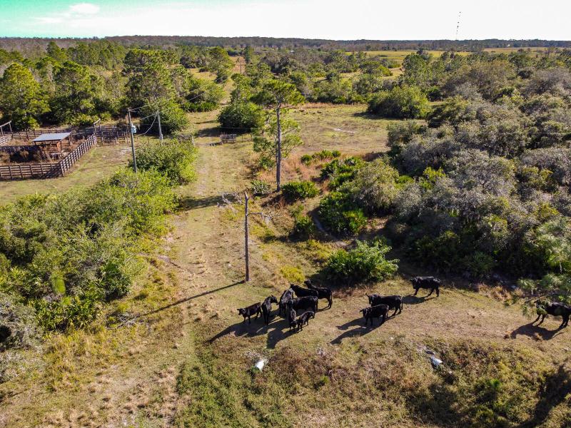  Commercial & Industrial Land Images 