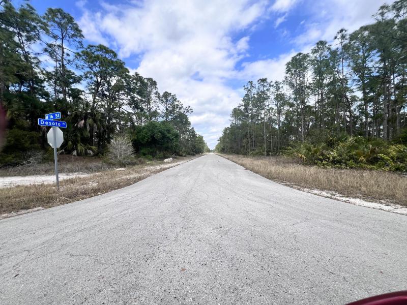 Duplex, Triplex and Fourplex Images