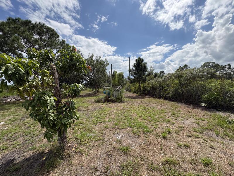 Duplex, Triplex and Fourplex Images