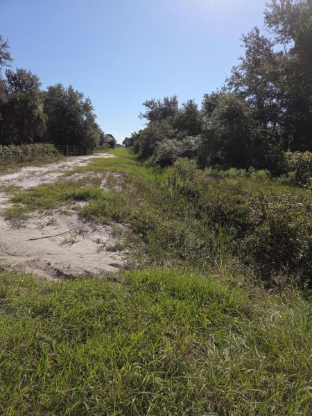 Duplex, Triplex and Fourplex Images