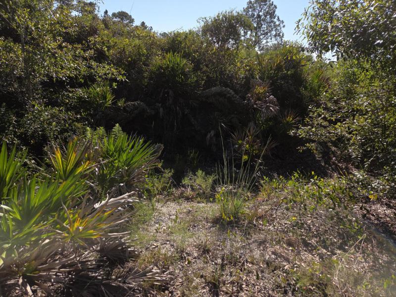 Duplex, Triplex and Fourplex Images