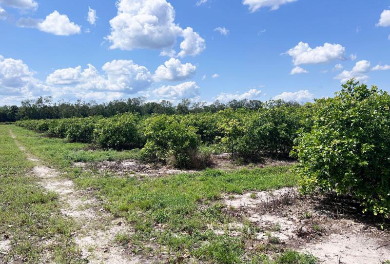  Commercial & Industrial Land Images 