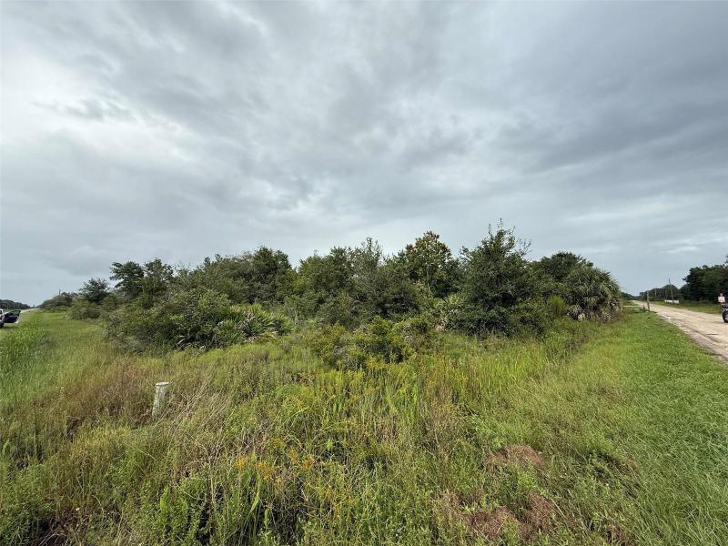 Duplex, Triplex and Fourplex Images