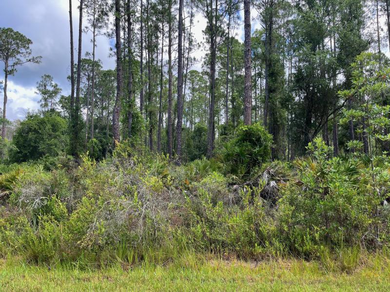 Duplex, Triplex and Fourplex Images