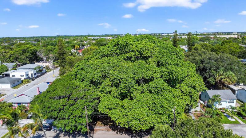 Duplex, Triplex and Fourplex Images