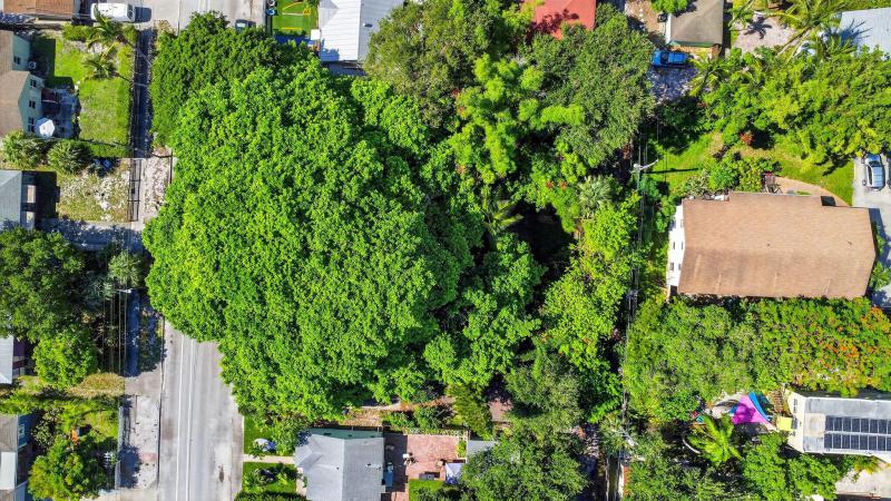 Duplex, Triplex and Fourplex Images