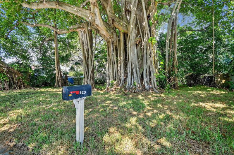 Duplex, Triplex and Fourplex Images