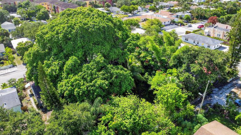 Duplex, Triplex and Fourplex Images