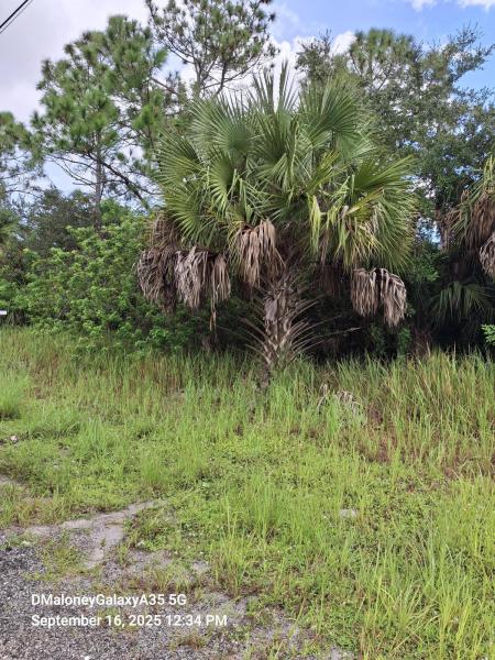 Duplex, Triplex and Fourplex Images