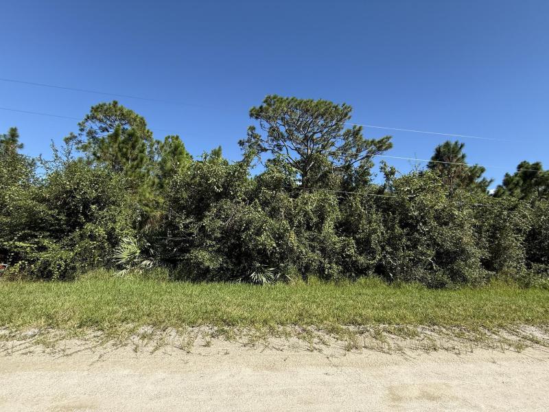 Duplex, Triplex and Fourplex Images