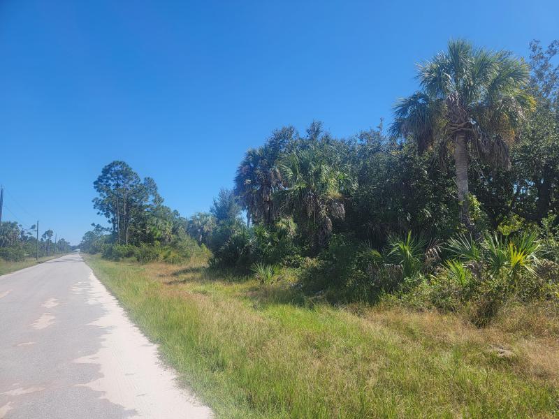 Duplex, Triplex and Fourplex Images