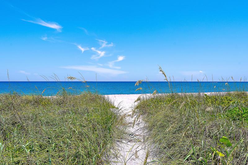  Single Family Homes Photo 32:  Jupiter Inlet Colony,  FL 33469