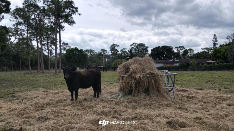  Commercial & Industrial Land Images 