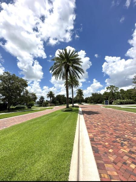 Duplex, Triplex and Fourplex Images