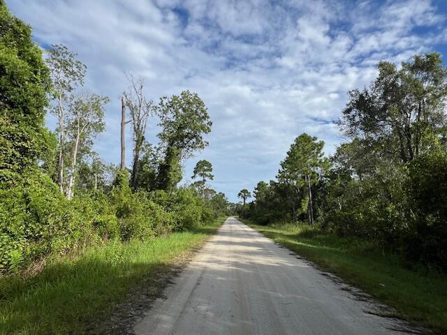 Duplex, Triplex and Fourplex Images