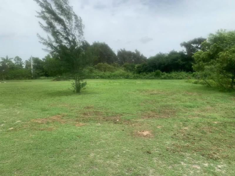  Commercial & Industrial Land Images 