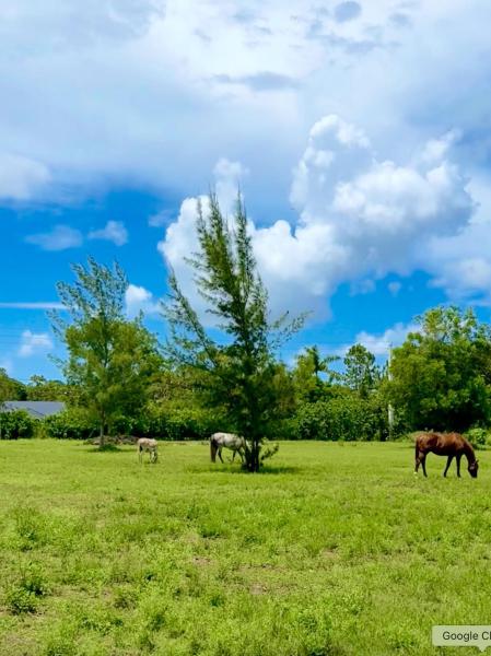  Commercial & Industrial Land Images 