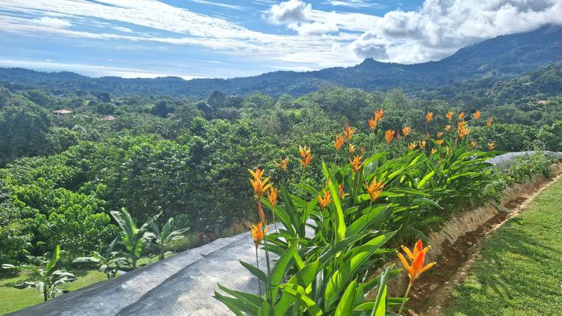  Commercial & Industrial Land Images 