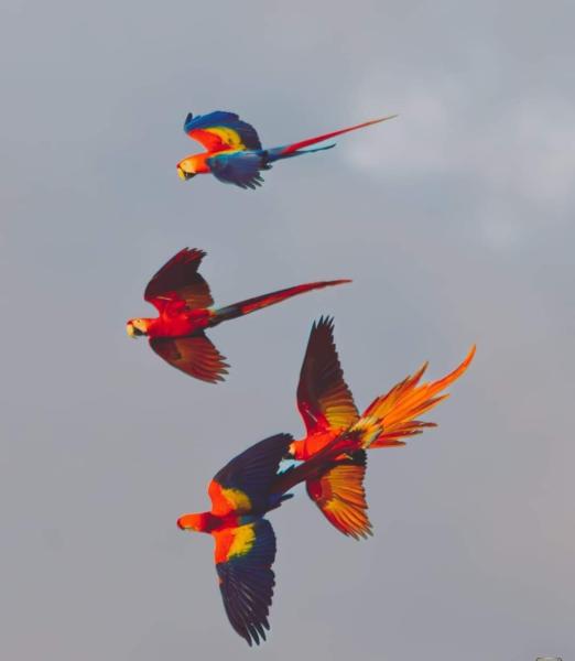  Commercial & Industrial Land Images 