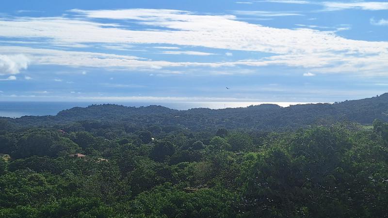  Commercial & Industrial Land Images 