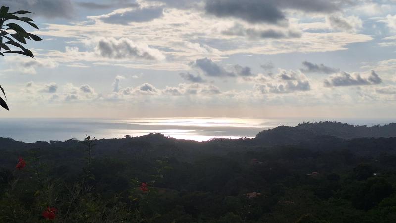  Commercial & Industrial Land Images 