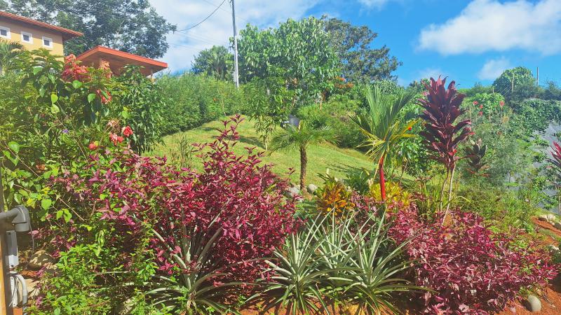  Commercial & Industrial Land Images 