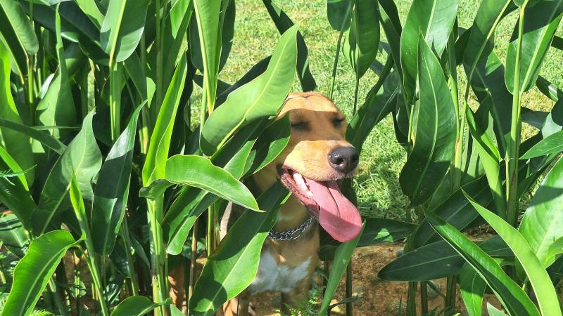  Commercial & Industrial Land Images 