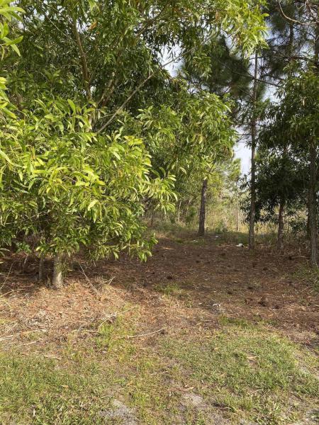  Commercial & Industrial Land Images 