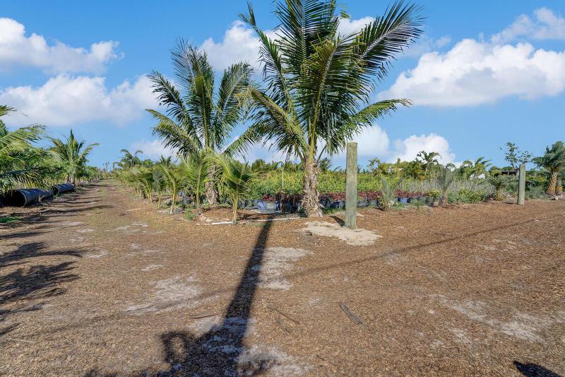  Commercial & Industrial Land Images 