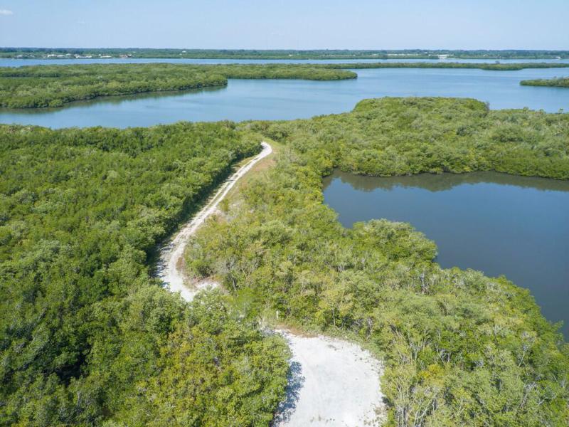 Duplex, Triplex and Fourplex Images