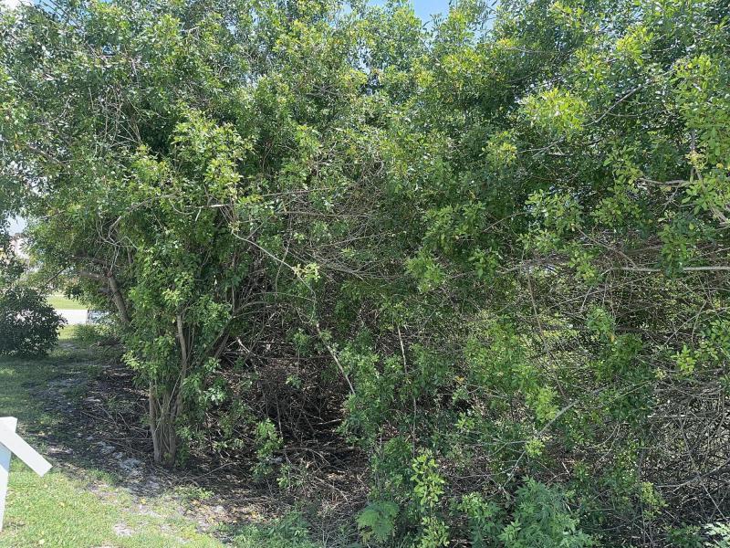 Duplex, Triplex and Fourplex Images