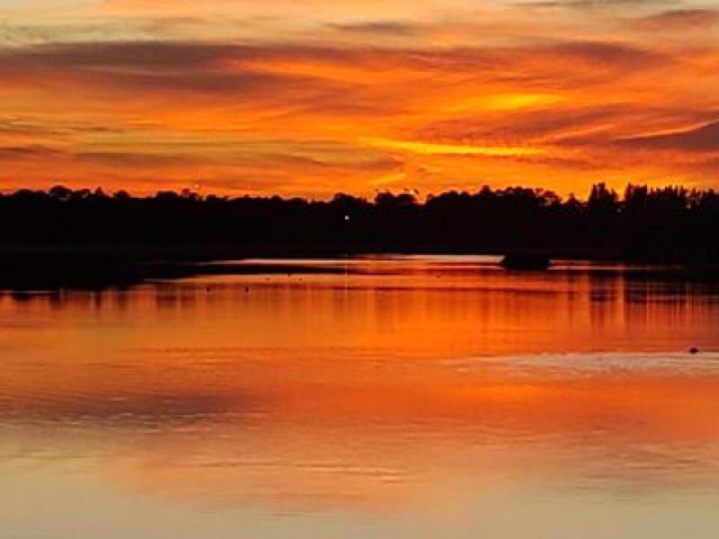  Commercial & Industrial Land Images 