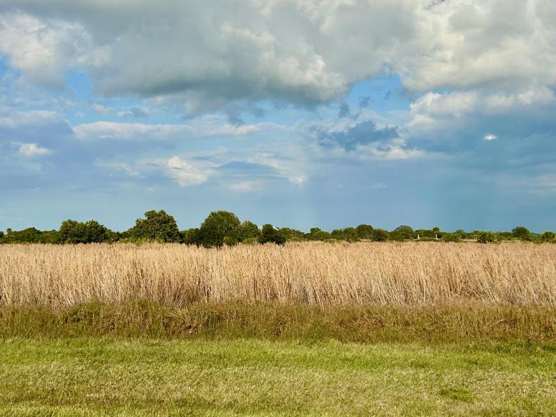  Commercial & Industrial Land Images 