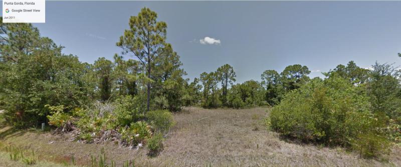 Duplex, Triplex and Fourplex Images