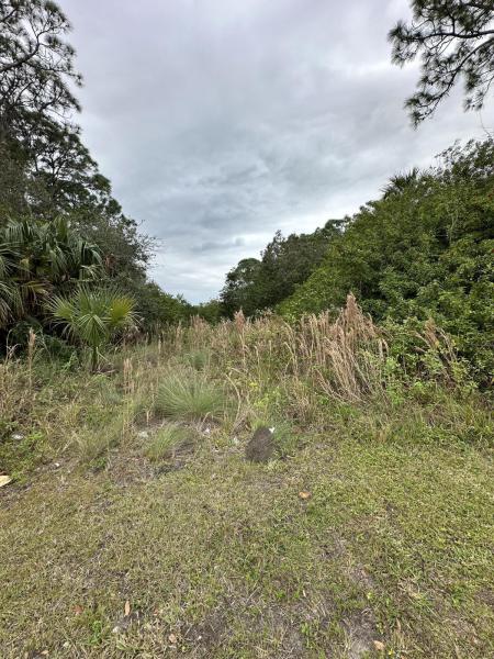  Commercial & Industrial Land Images 