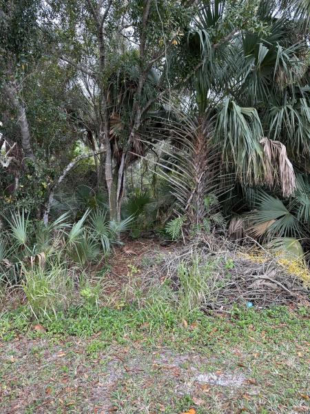  Commercial & Industrial Land Images 