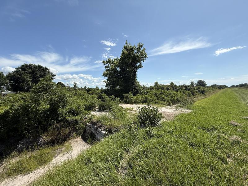 Duplex, Triplex and Fourplex Images