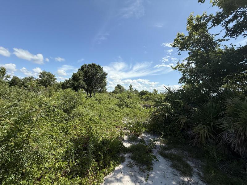 Duplex, Triplex and Fourplex Images