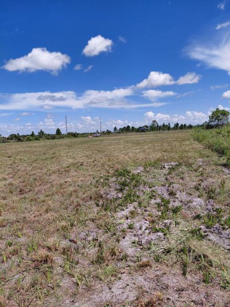 Duplex, Triplex and Fourplex Images