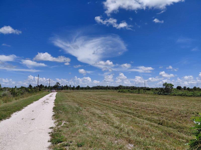 Duplex, Triplex and Fourplex Images