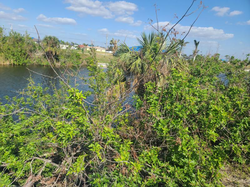 Duplex, Triplex and Fourplex Images